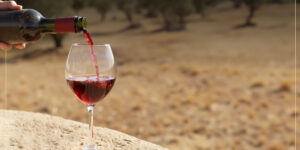 wine in Israel